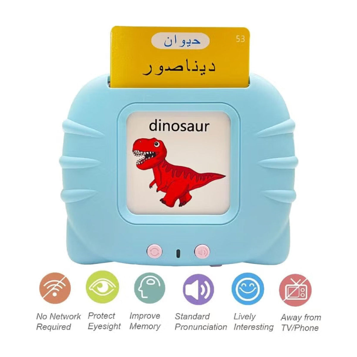 LingoSky - Arabic & English SKY MEGA BOX
